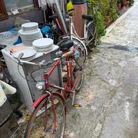 Bici da uomo e donna bianchi