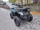 quad-50cc-avv-elettrico-ruote-6-portaoggetti