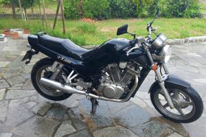 Suzuki VX 800 nera 