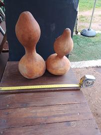 Zucche ornamentali Sarde