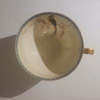 tazze da caffè limoges