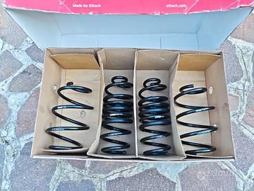 Molle Eibach Pro-Kit E10-75-030-01-22 per Clio V