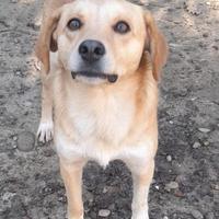 Paolino 2 anni 12/13 kg