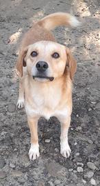 Paolino 2 anni 12/13 kg