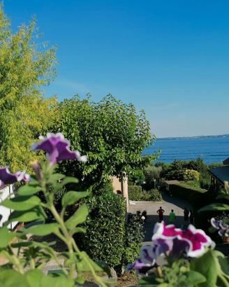 Roulotte stanziale con veranda sul Lago di Garda