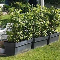 Vasi Fioriera da giardino 100cm 3 pz