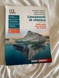 Lineamenti di chimica quarta edizione