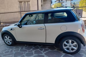 mini 2009