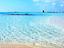 Immagine 14