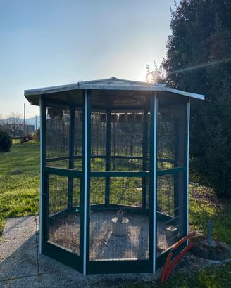 VOLIERA UCCELLI