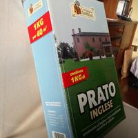 Sementi prato inglese