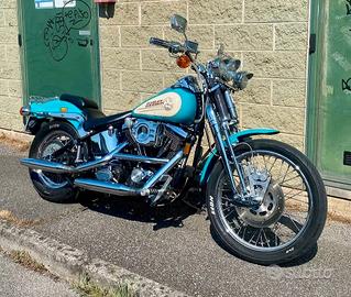 Fari moto anteriori supplementari Harley Davidson/