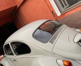 Maggiolino volkswagen