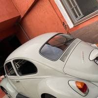 Maggiolino volkswagen