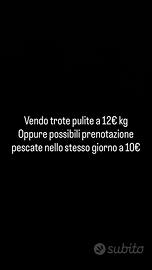 Trote iridea o qualche salmonata se capita