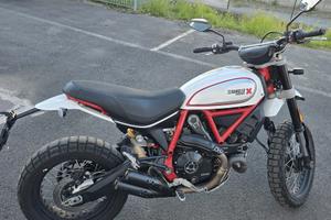 ducati scrambler desert sled  