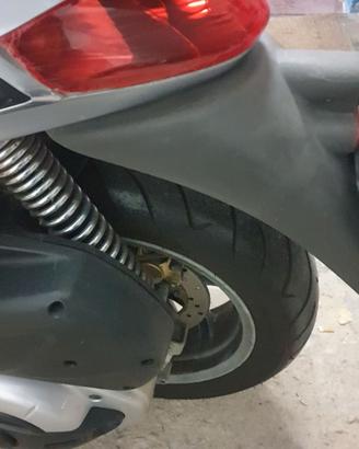 Parafango posteriore beverly 500