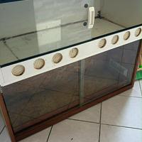 Terrario teca per rettili