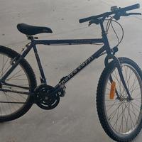 Bicicletta MTB