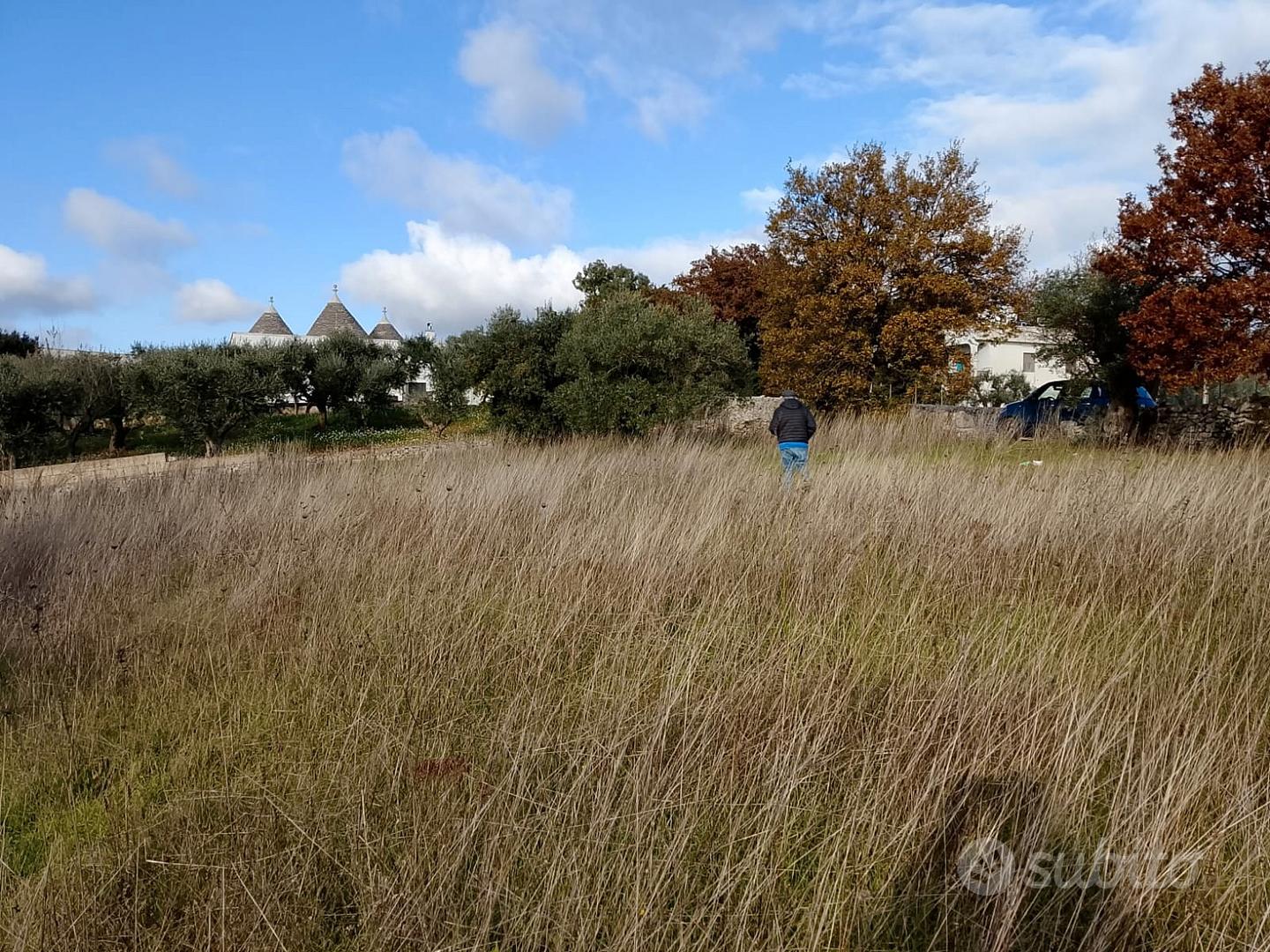 Terreno 2.260 mq - Locorotondo (Contrada Nunzio) - Vista 3