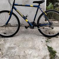 bici MTB 