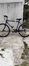 bici MTB 