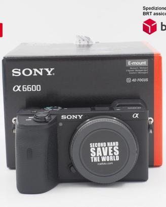Sony A6600