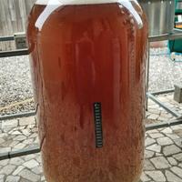 all rounder 65 fermentatore