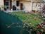Immagine 8