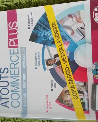 Atouts commerce plus
