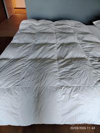 Piumini di piuma 200 x 100