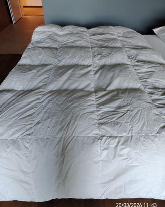 Piumini di piuma 200 x 100