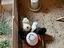 Immagine 2