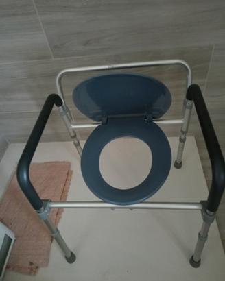 sedia wc 