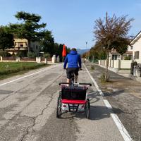Chariot Thule carrello bici