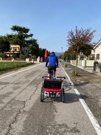 Chariot Thule carrello bici