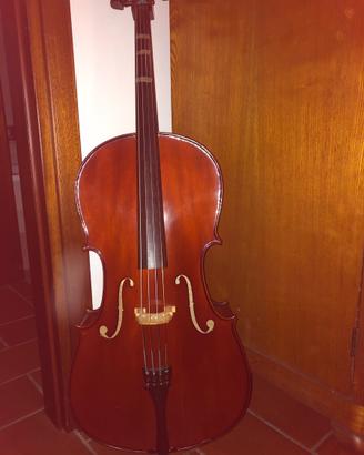 violoncello