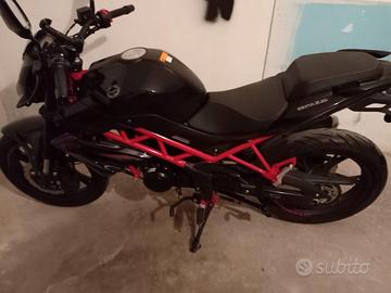 Benelli BN 125 - 2023