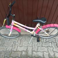 Bicicletta bambina 20 pollici