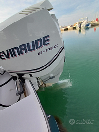 Barca fourwins 205 con motore 150