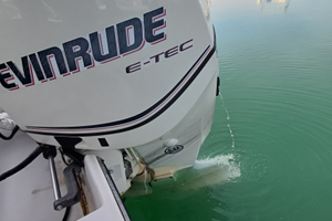 Barca fourwins 205 con motore 150