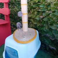 tiragraffi e lettiera