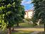 Immagine 10