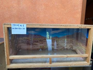 3 terrari per pogone e tutti rettili