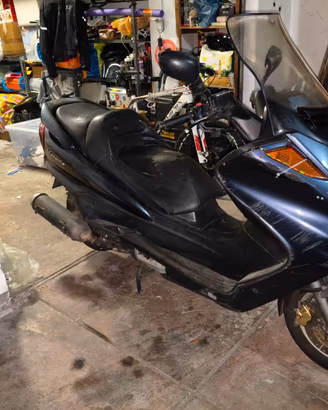 Yamaha Majestic 250