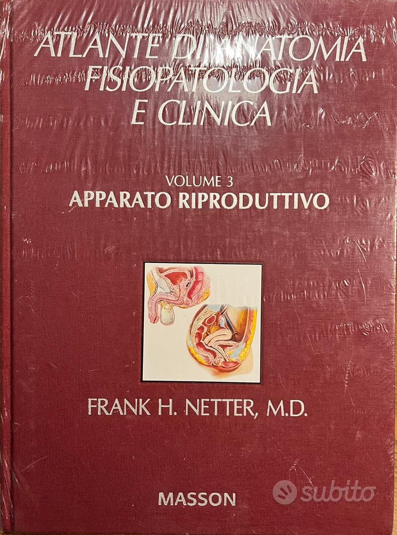 Atlante di anatomia fisiopatologia e clinica - Libri e Riviste In vendita a  Pistoia