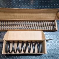 Coppia Molle forcella kyb kayaba