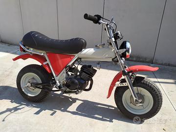 All cars victor ciclomotore