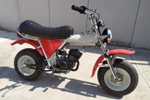 All cars victor ciclomotore