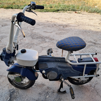 Motograziella carnielli